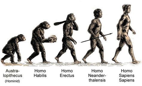 Homo sapiens mascot